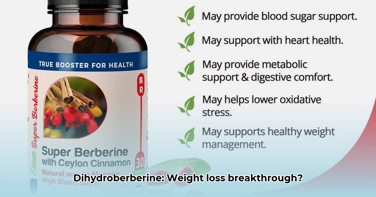 dihydroberberine-for-weight-loss